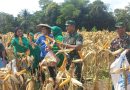 Pangdam III/Slw Bersama Wamentan Tanam Jagung di Kebun Dodiklatpur Rindam III/Slw