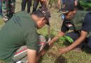 Peringati Hari Kesiapsiagaan Bencana Kelurahan Cikaret Laksanakan Penanaman Bibit Pohon dan Simulasi Evakuasi Mandiri Kebencanaan.